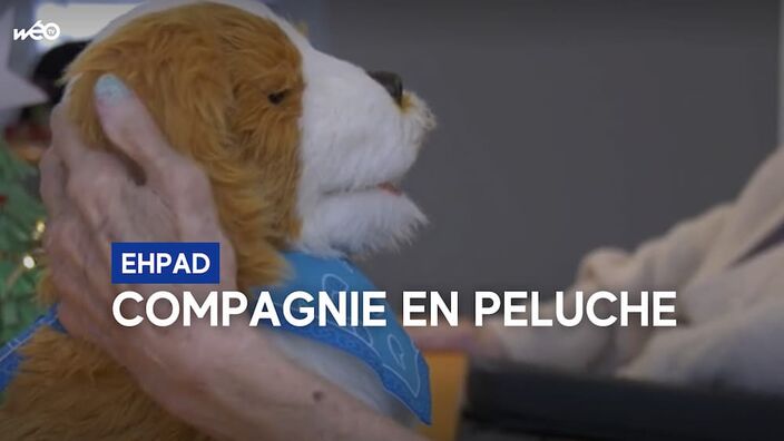 Des compagnons à quatre piles pour les résidents d'EHPAD